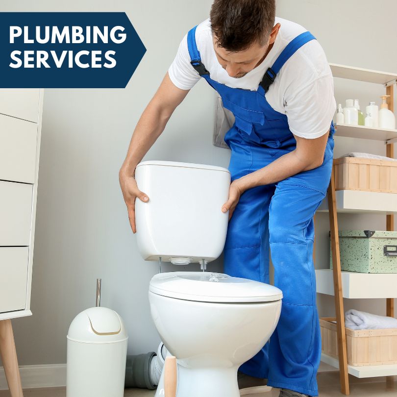 Plumbing Company in Morley, MI